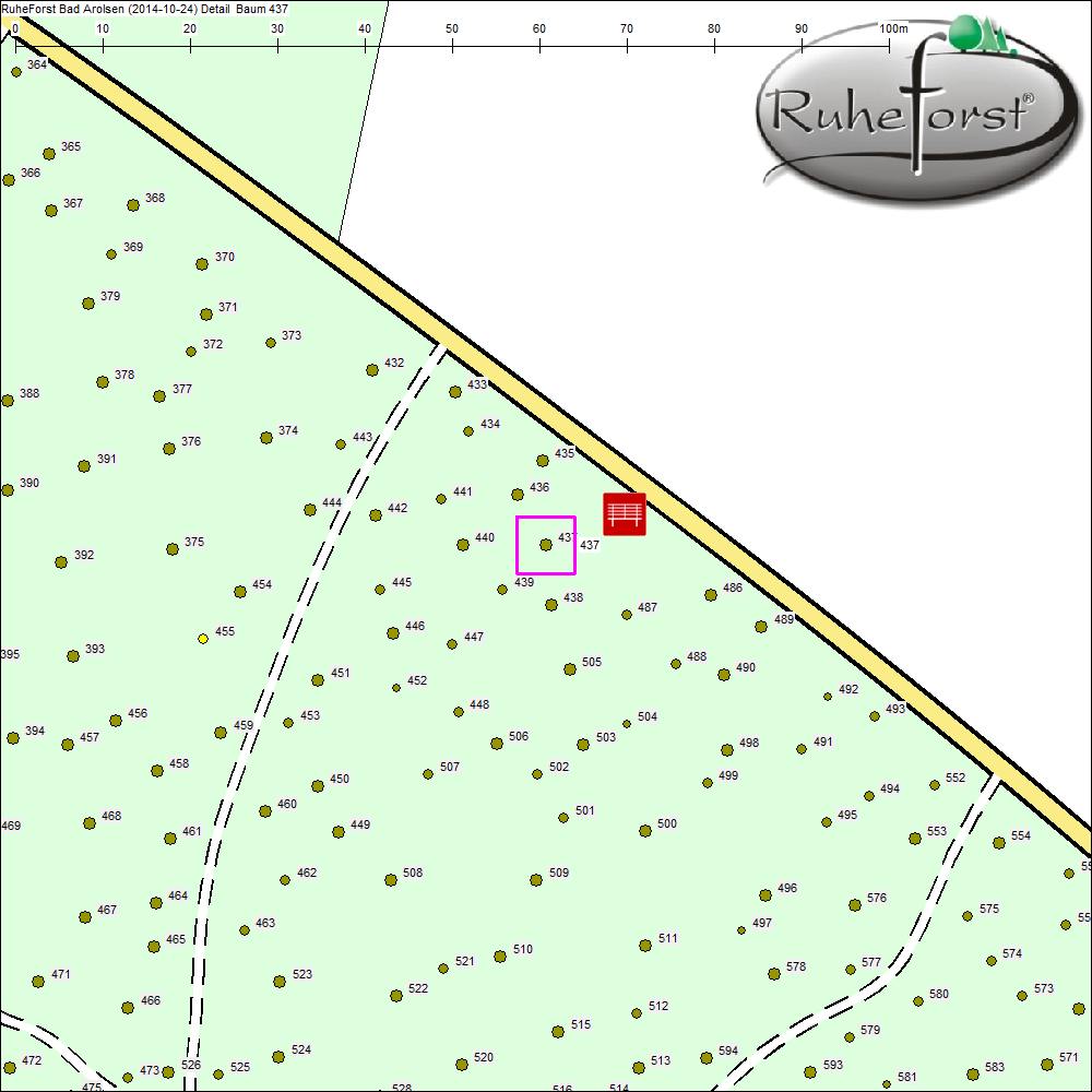 Detailkarte zu Baum 437