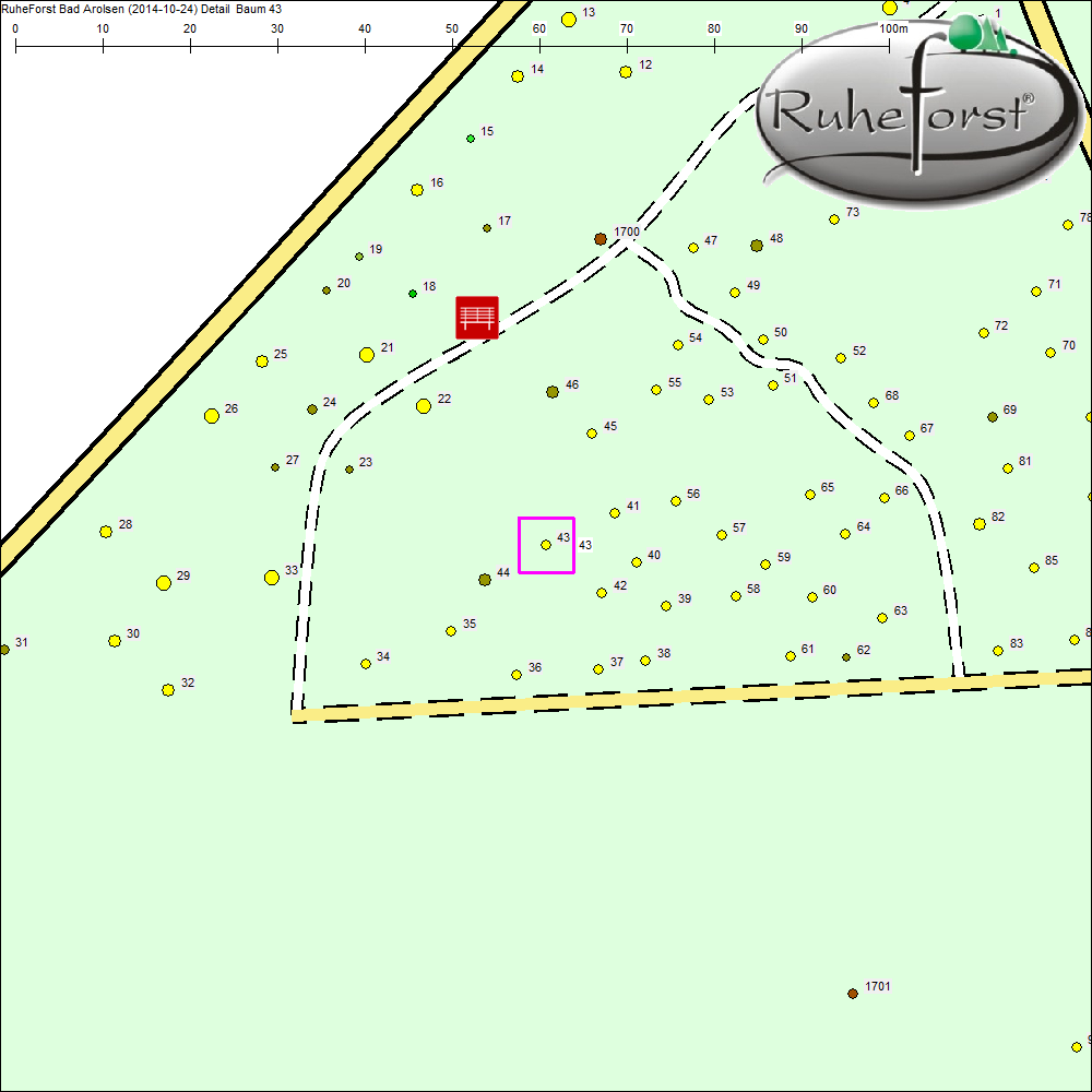 Detailkarte zu Baum 43
