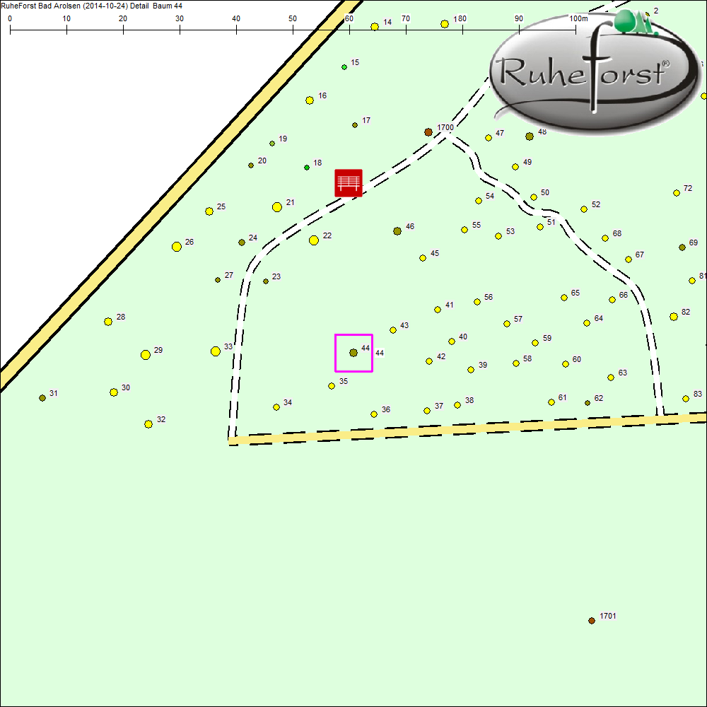 Detailkarte zu Baum 44