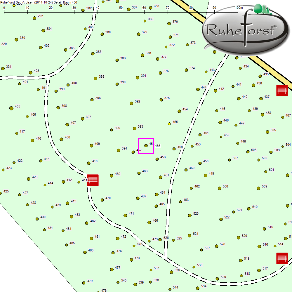 Detailkarte zu Baum 456