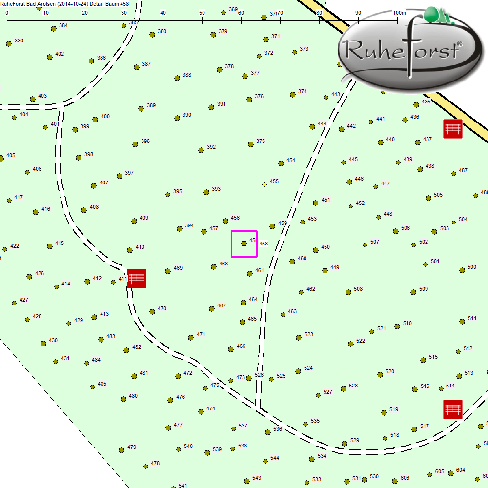 Detailkarte zu Baum 458