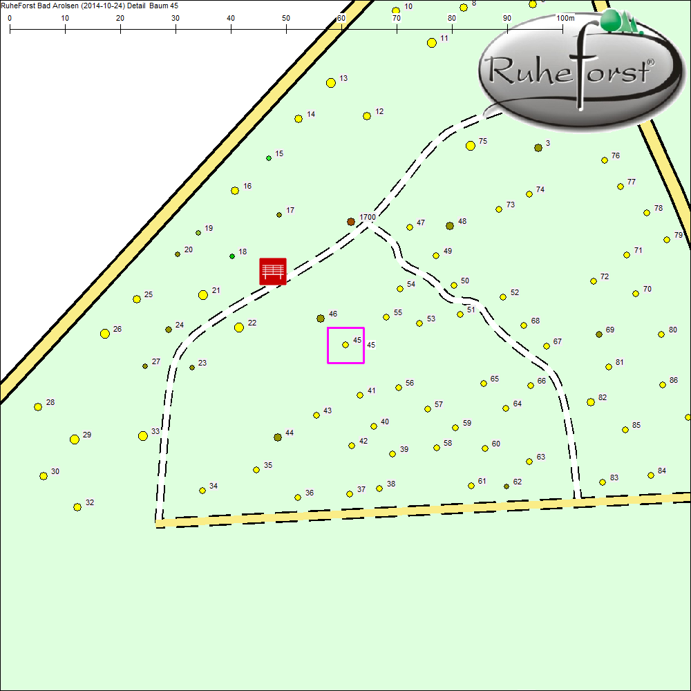 Detailkarte zu Baum 45