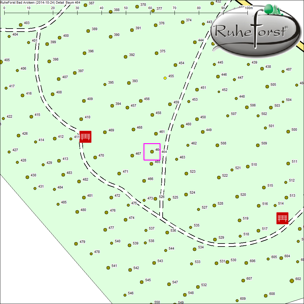 Detailkarte zu Baum 464
