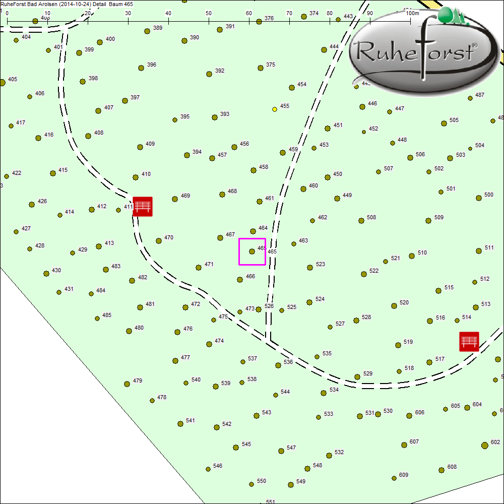 Detailkarte zu Baum 465
