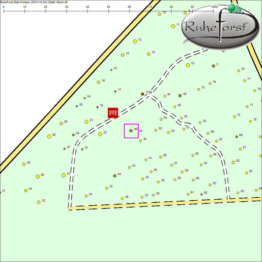 Detailkarte zu Baum 46