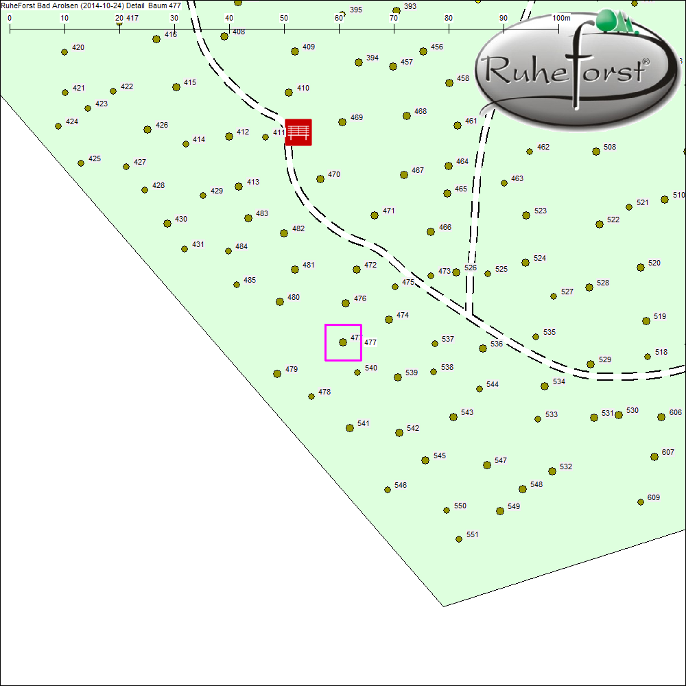 Detailkarte zu Baum 477