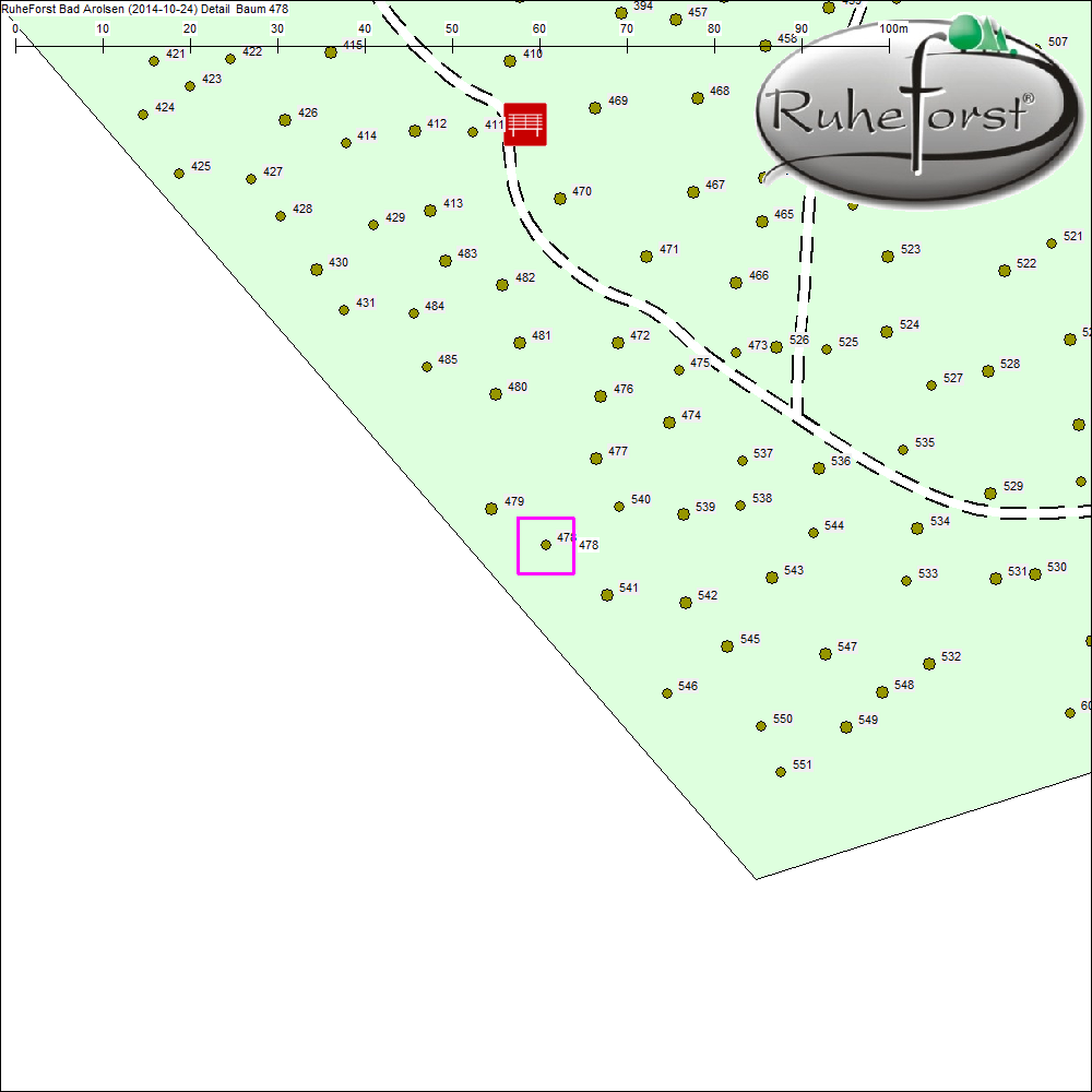 Detailkarte zu Baum 478