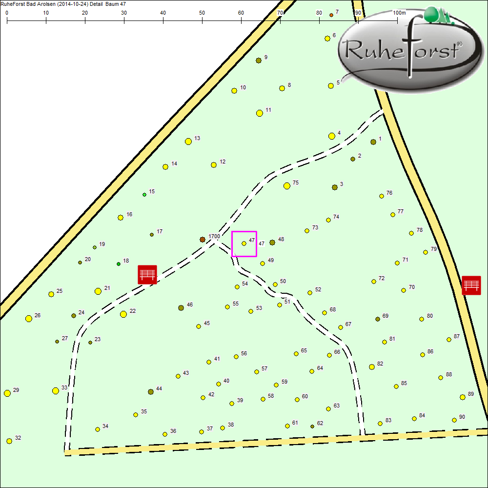 Detailkarte zu Baum 47