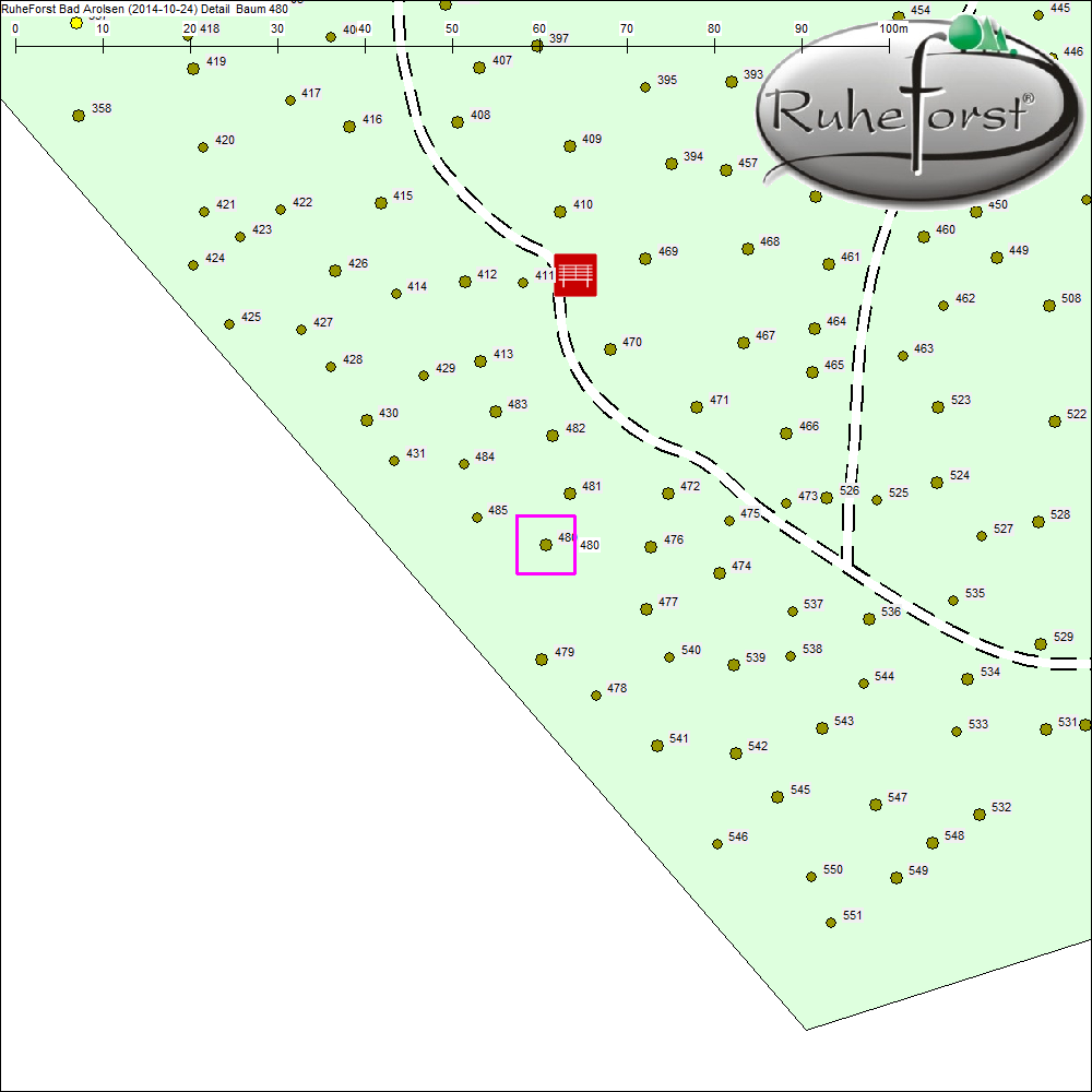 Detailkarte zu Baum 480