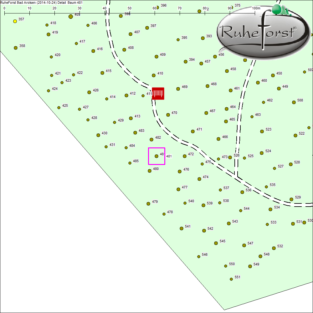 Detailkarte zu Baum 481