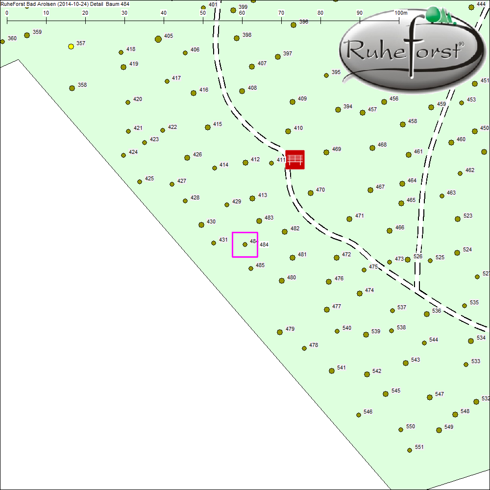 Detailkarte zu Baum 484