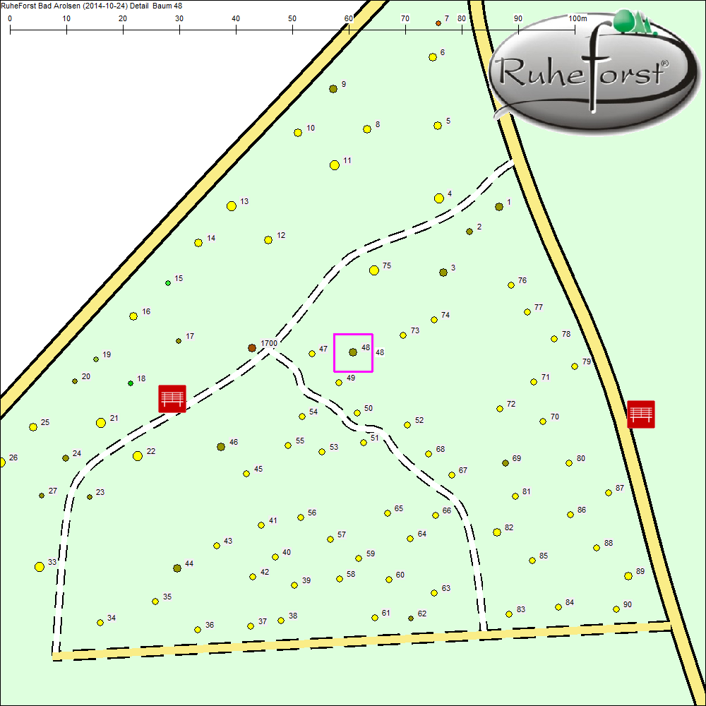 Detailkarte zu Baum 48
