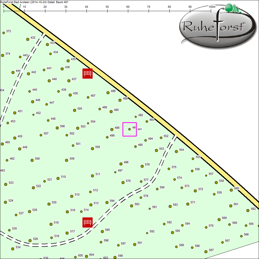 Detailkarte zu Baum 491