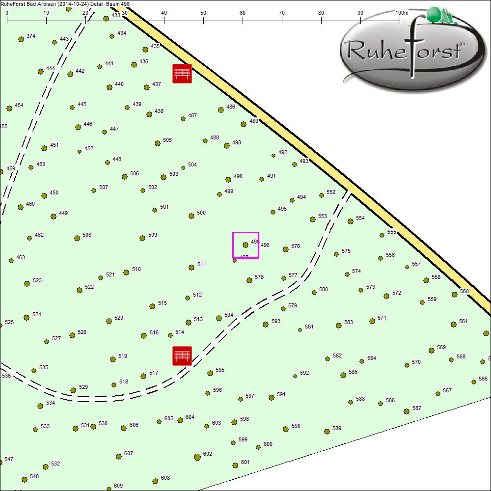 Detailkarte zu Baum 496