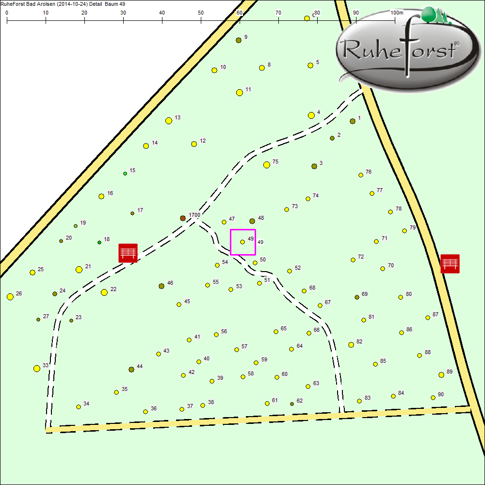 Detailkarte zu Baum 49