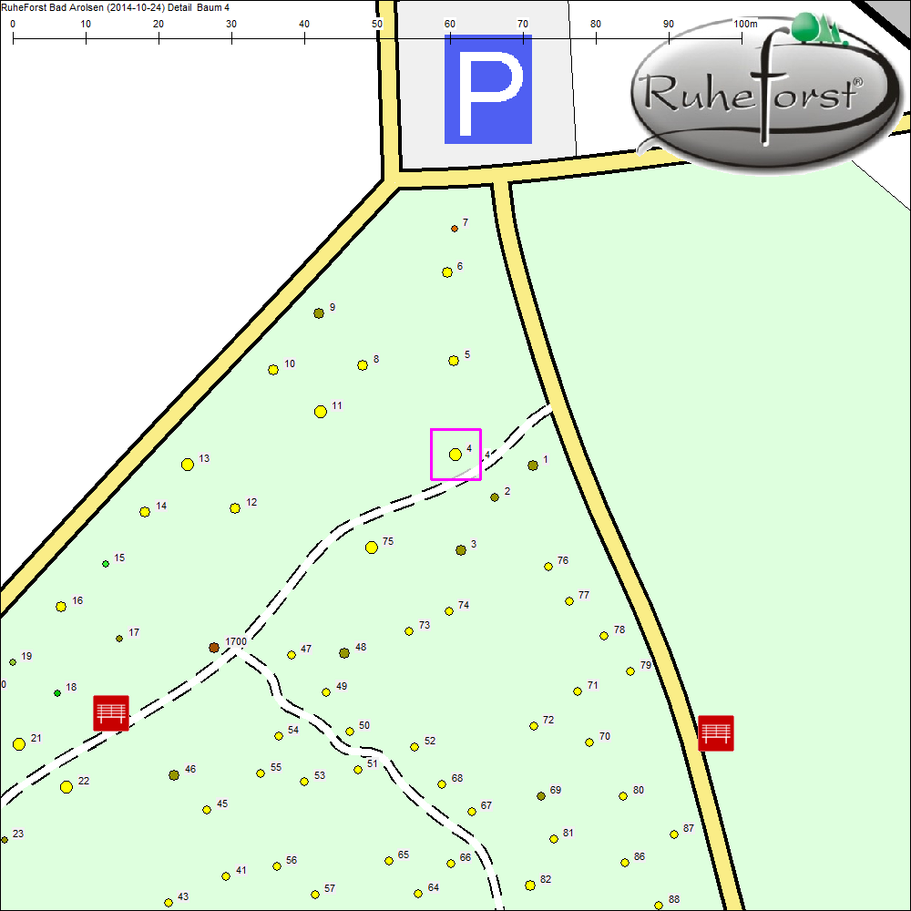 Detailkarte zu Baum 4