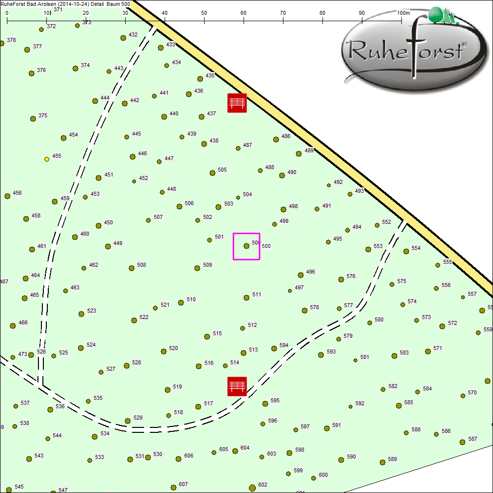Detailkarte zu Baum 500