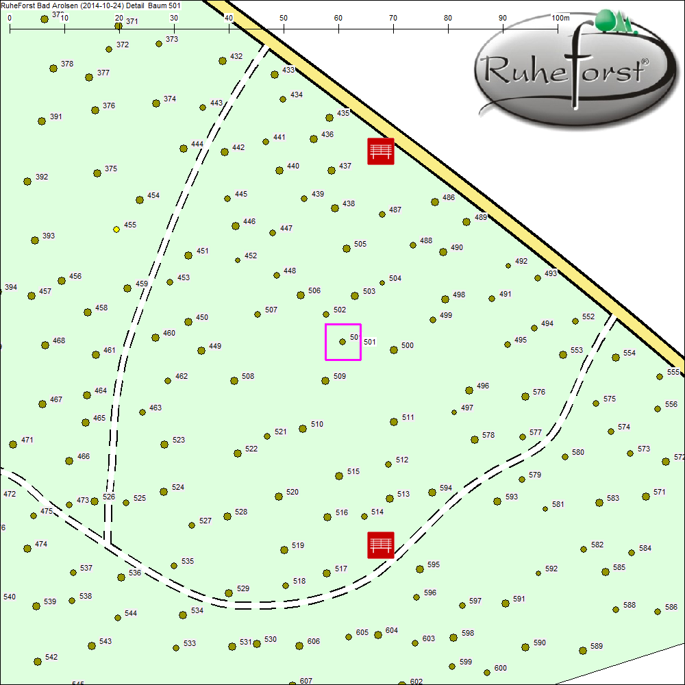 Detailkarte zu Baum 501