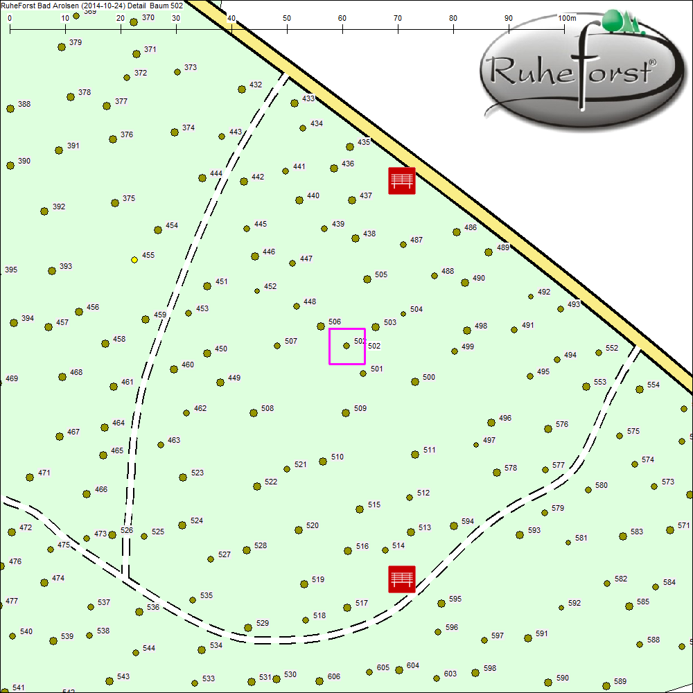 Detailkarte zu Baum 502