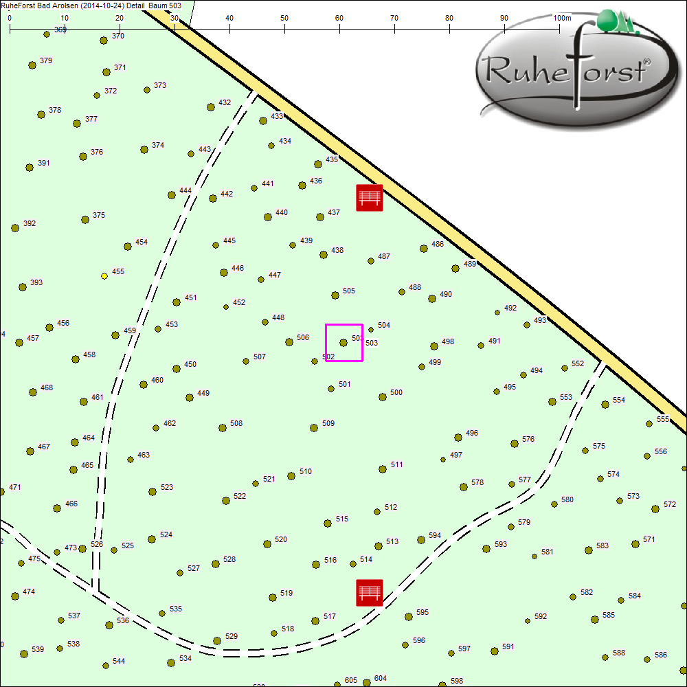 Detailkarte zu Baum 503