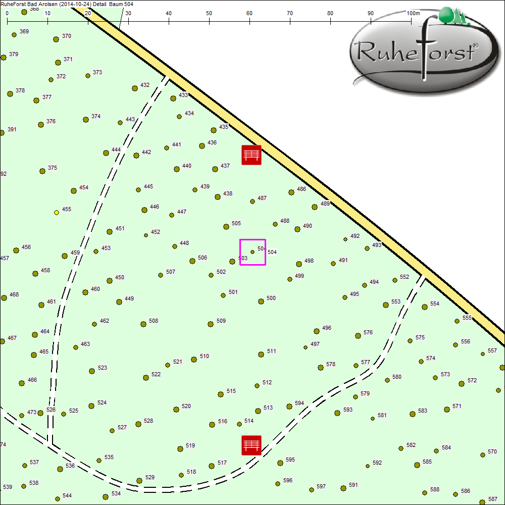 Detailkarte zu Baum 504