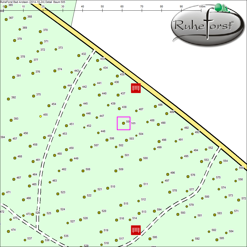 Detailkarte zu Baum 505