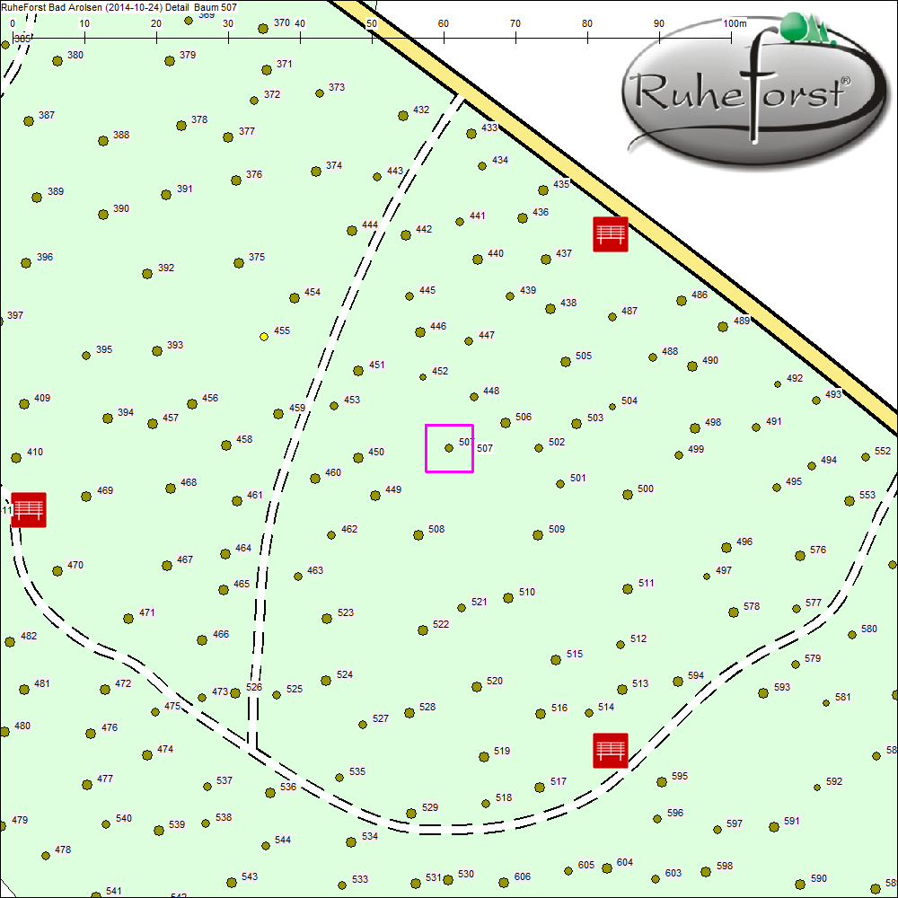 Detailkarte zu Baum 507