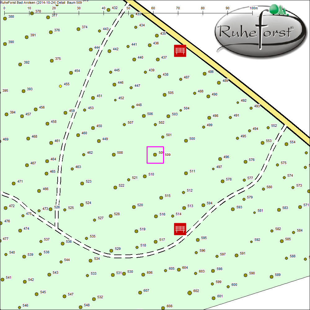 Detailkarte zu Baum 509