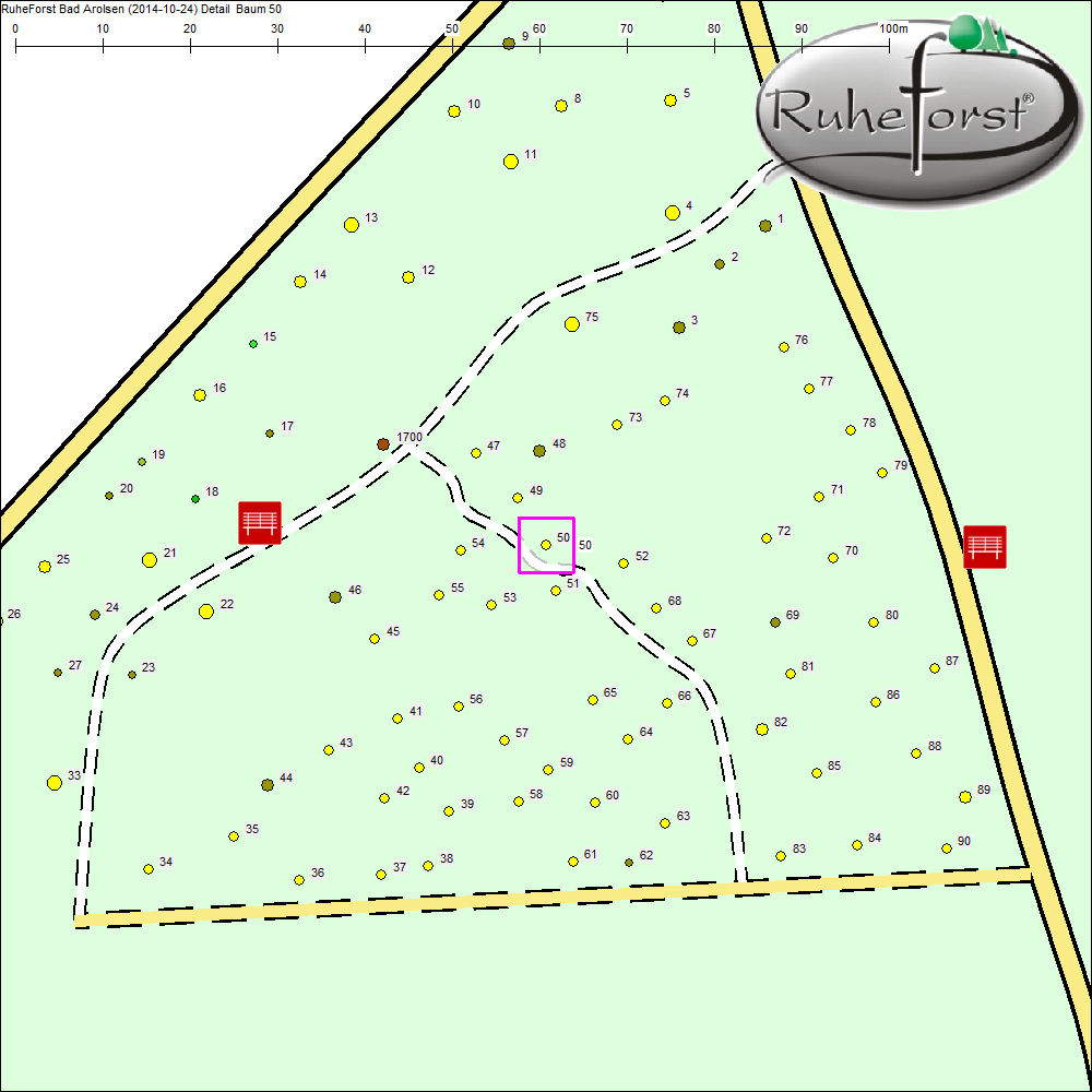 Detailkarte zu Baum 50