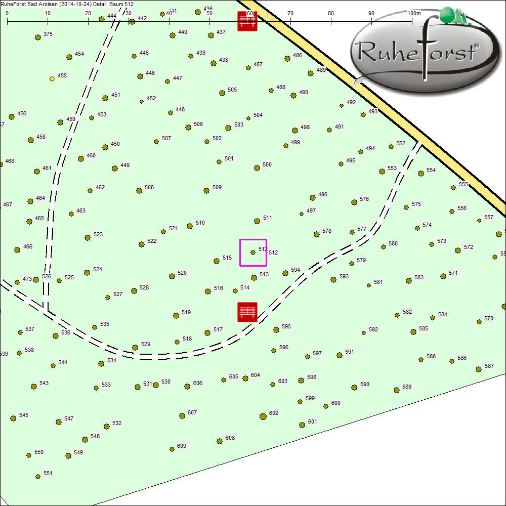 Detailkarte zu Baum 512