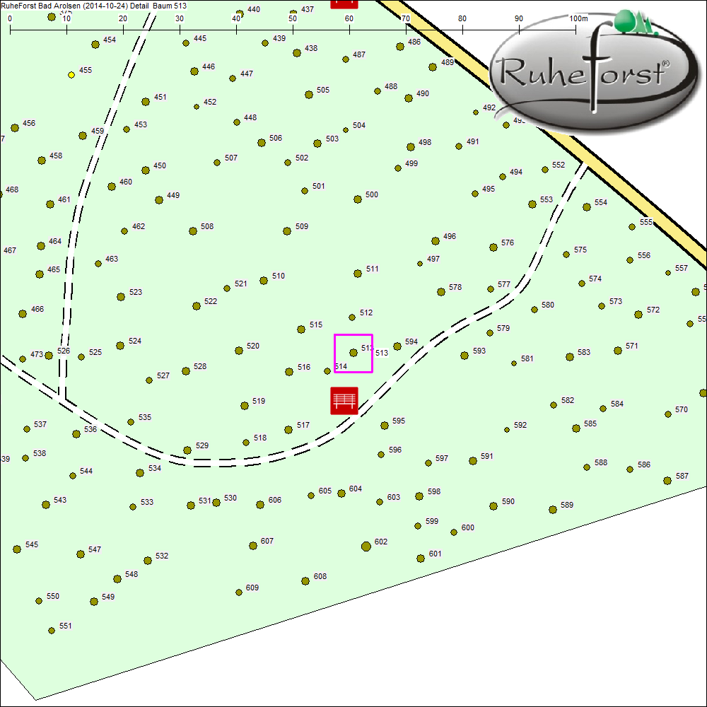 Detailkarte zu Baum 513