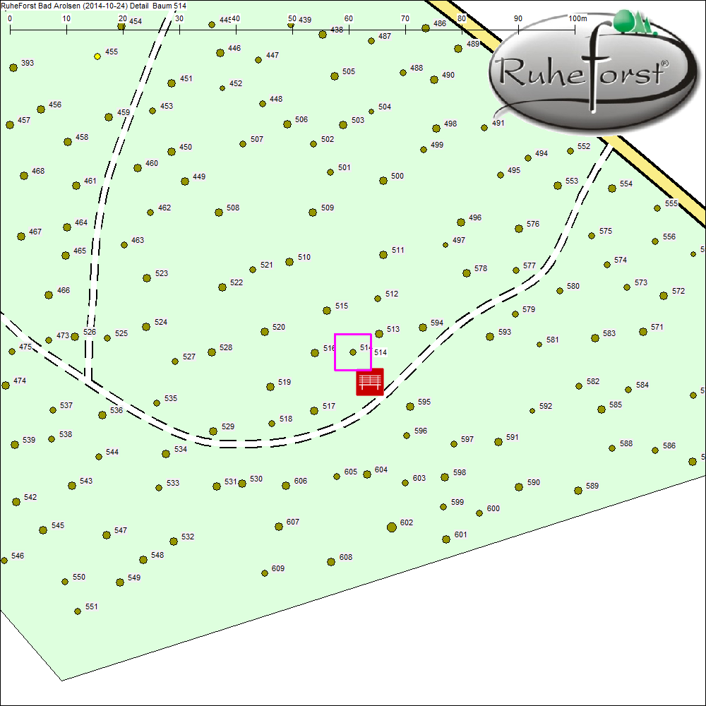 Detailkarte zu Baum 514