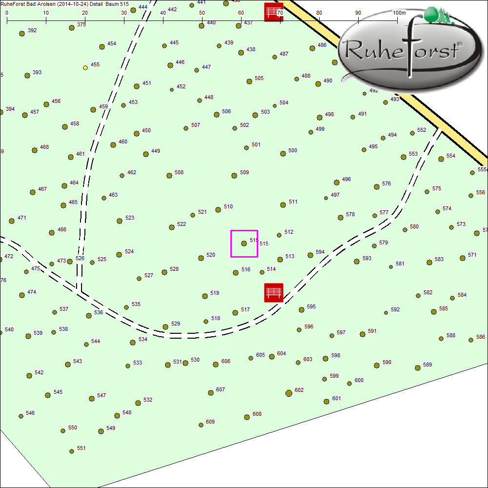 Detailkarte zu Baum 515