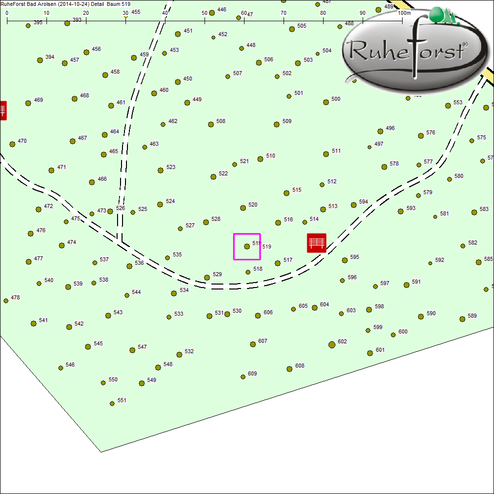 Detailkarte zu Baum 519