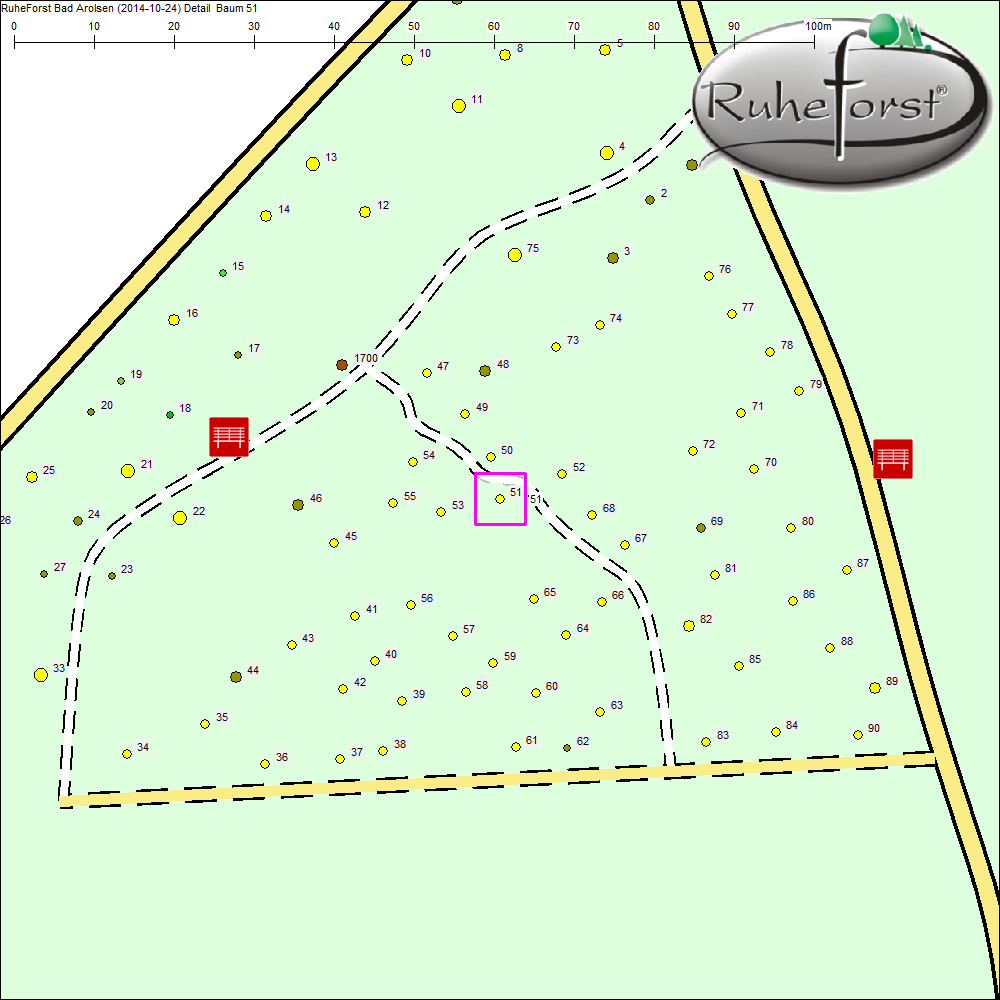 Detailkarte zu Baum 51