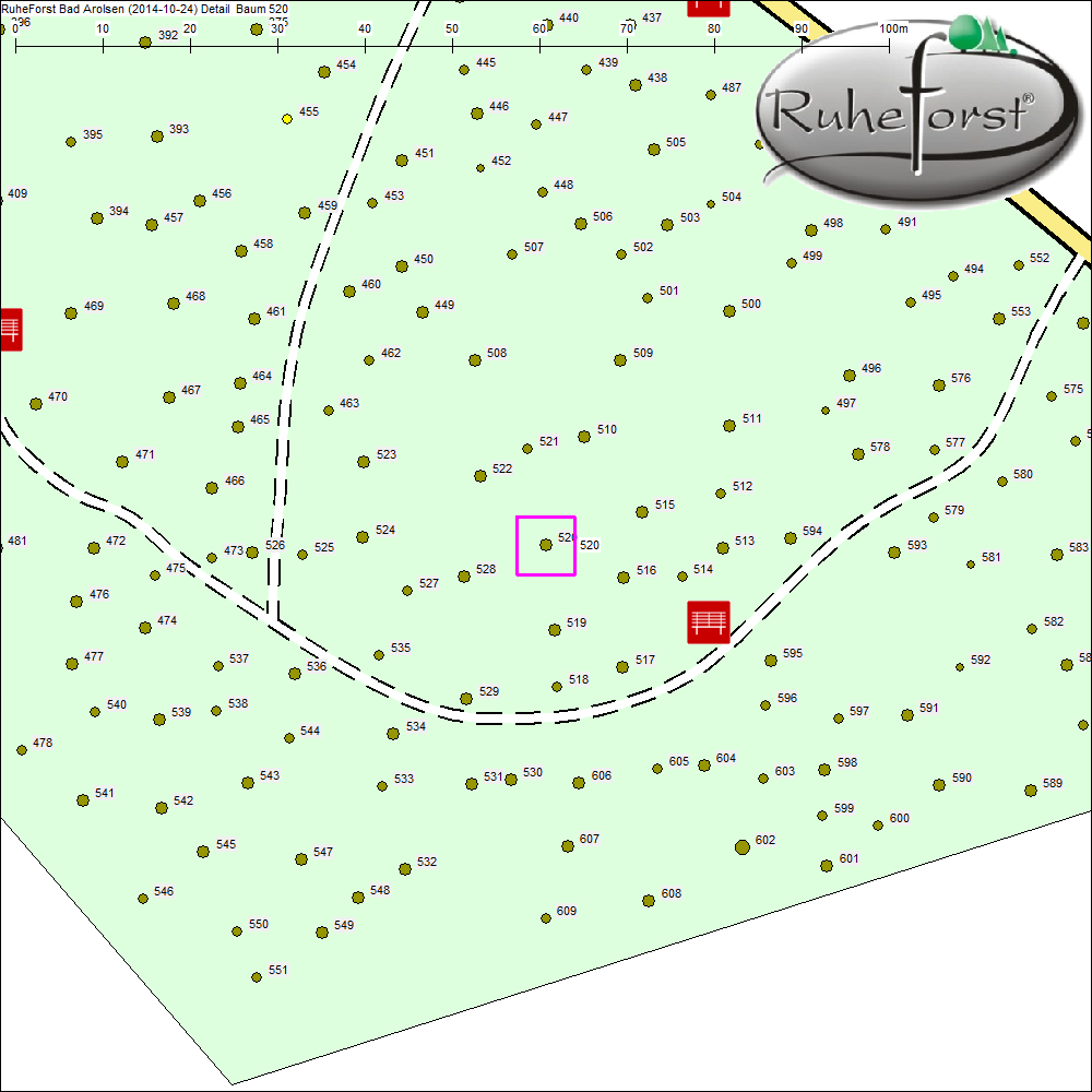 Detailkarte zu Baum 520