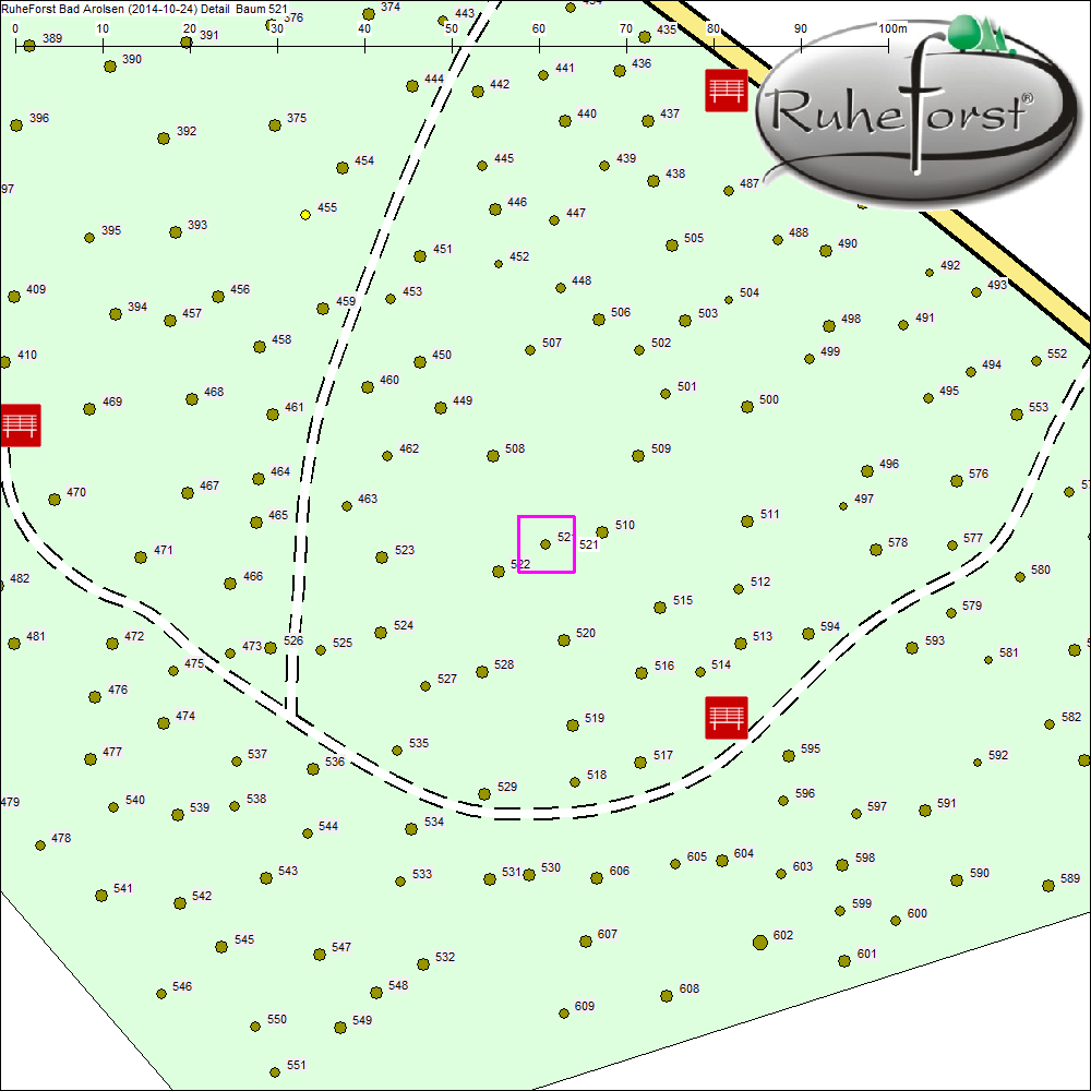 Detailkarte zu Baum 521
