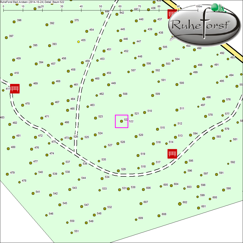 Detailkarte zu Baum 522