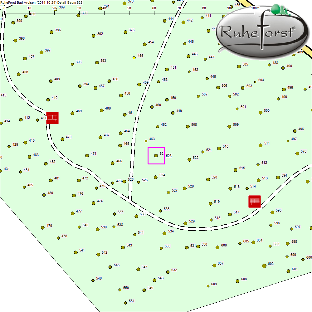Detailkarte zu Baum 523