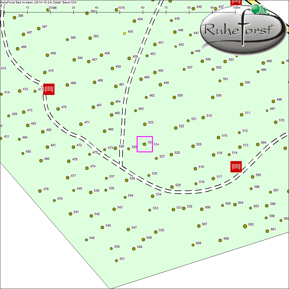 Detailkarte zu Baum 524