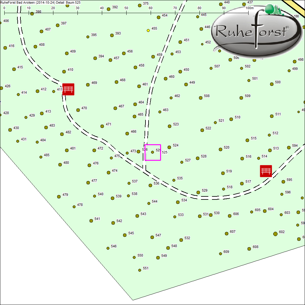Detailkarte zu Baum 525