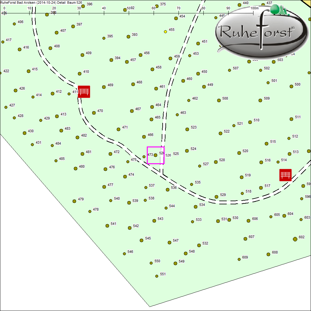 Detailkarte zu Baum 526