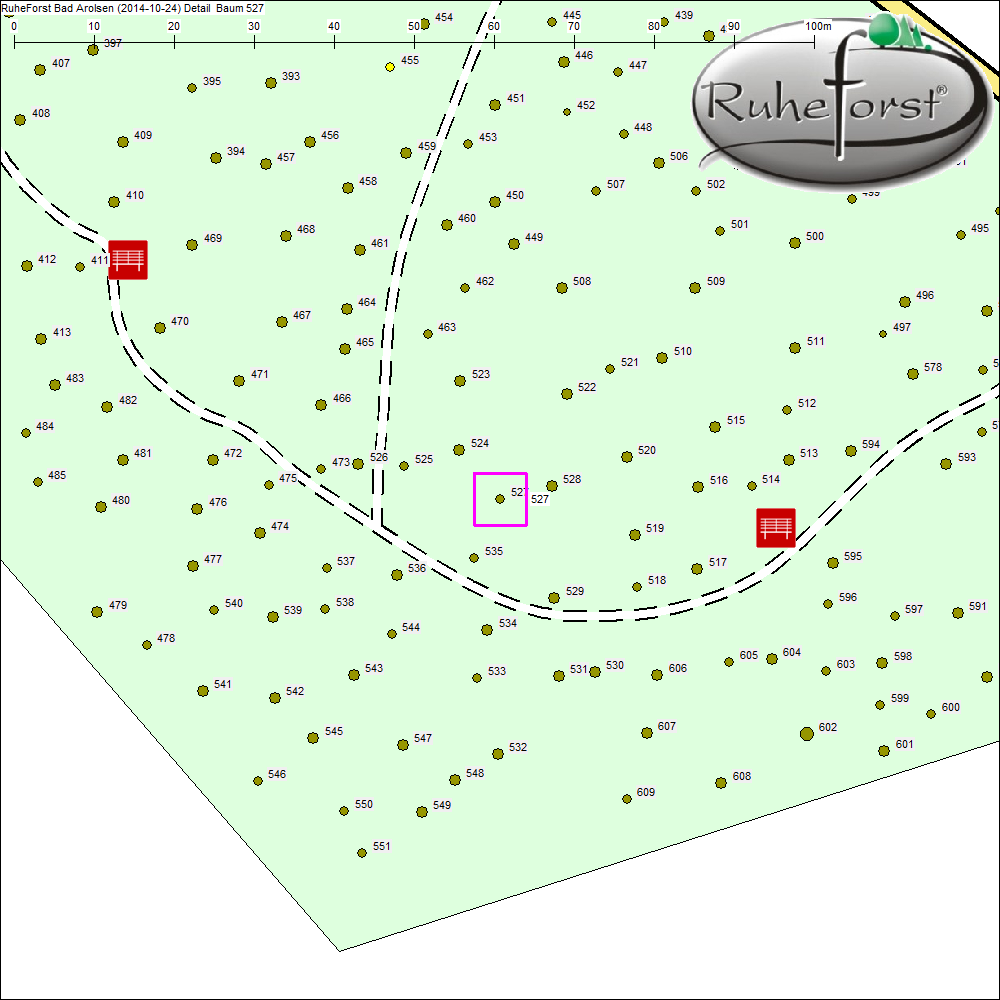 Detailkarte zu Baum 527