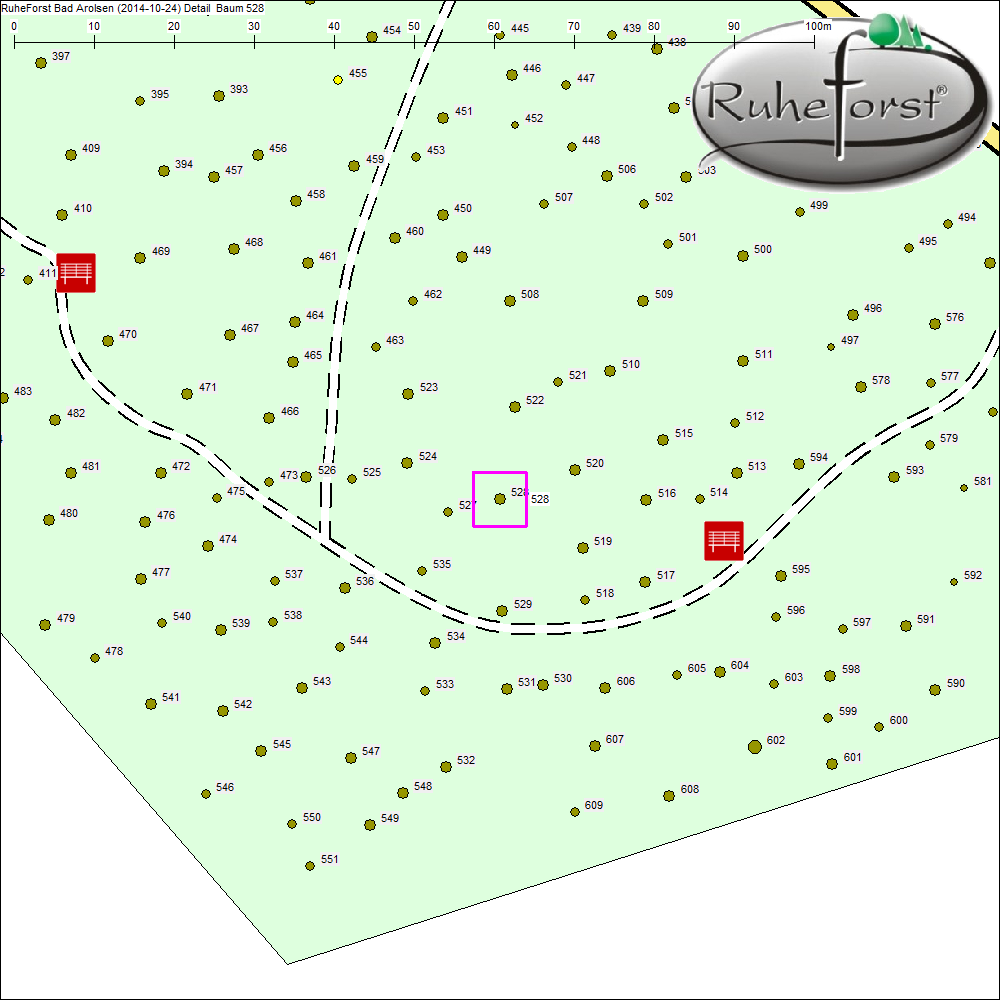 Detailkarte zu Baum 528
