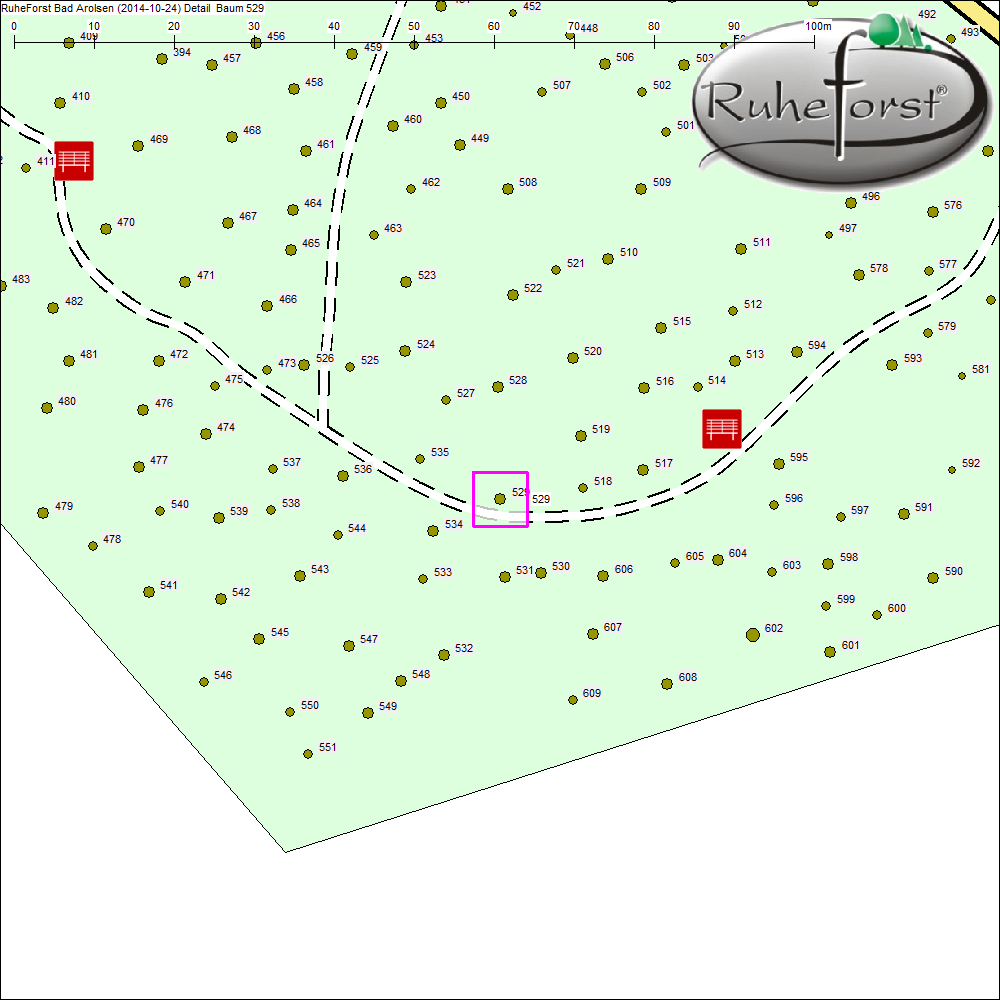 Detailkarte zu Baum 529
