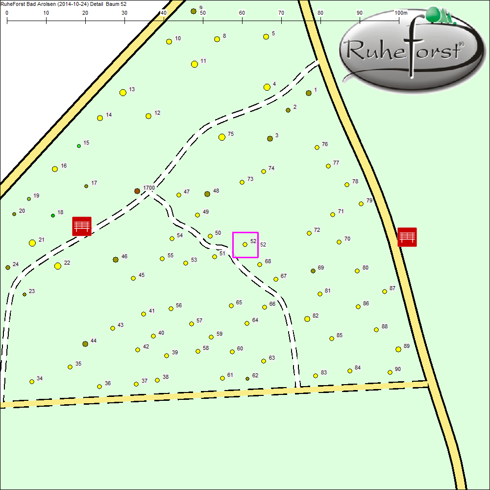 Detailkarte zu Baum 52