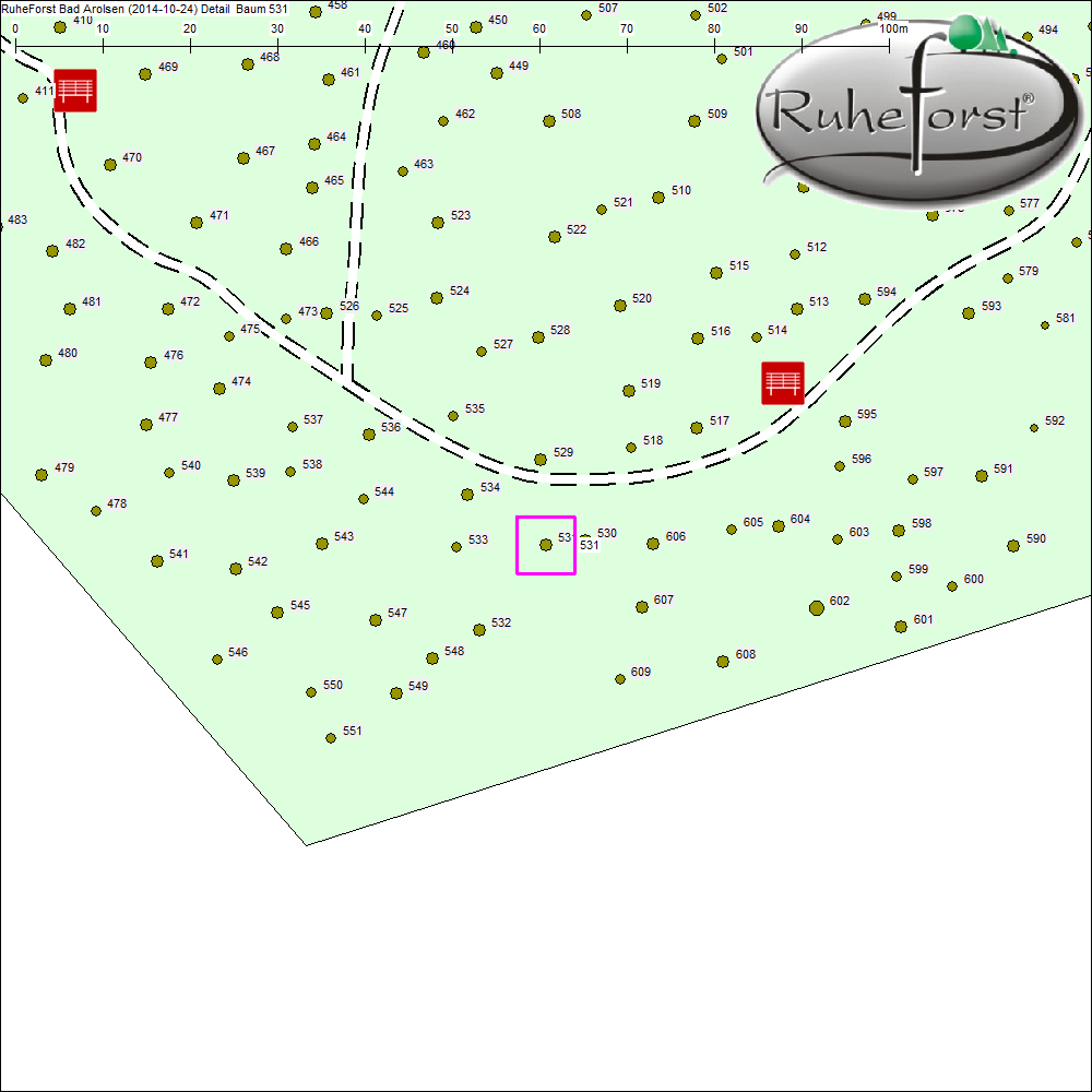 Detailkarte zu Baum 531