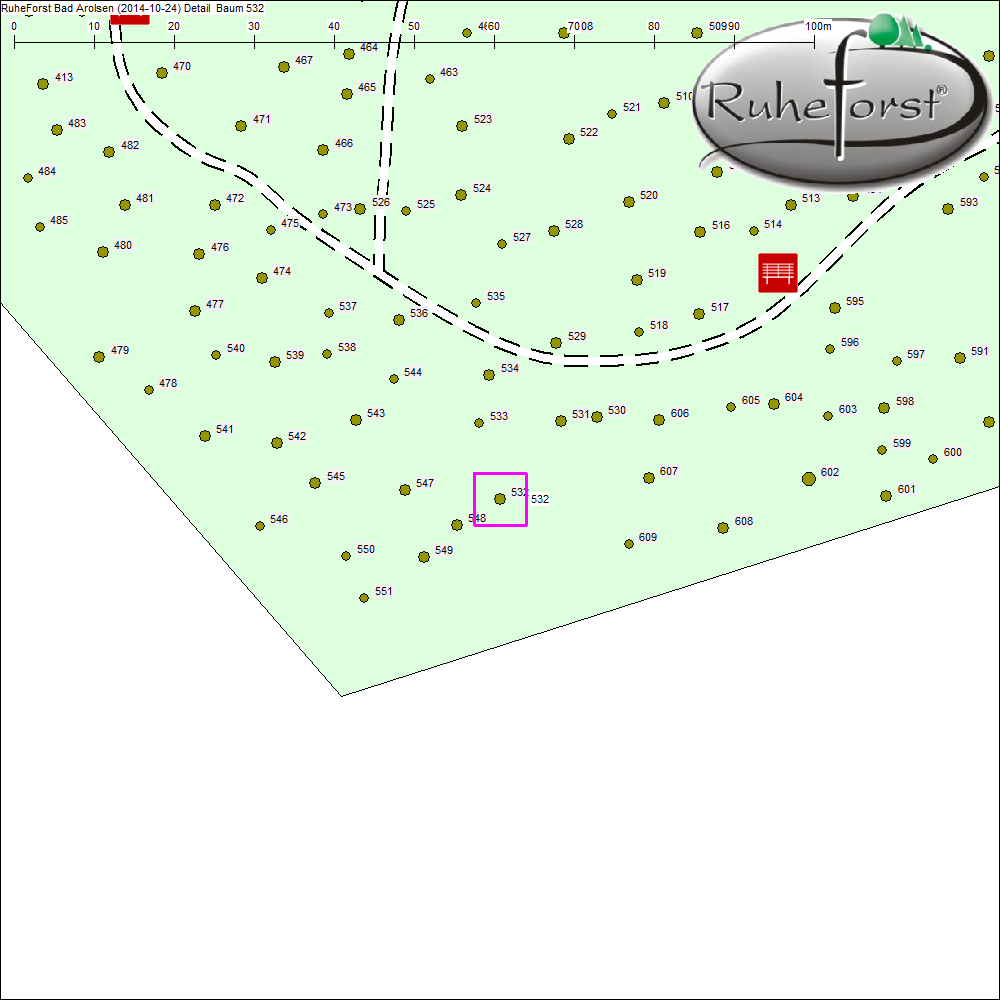 Detailkarte zu Baum 532