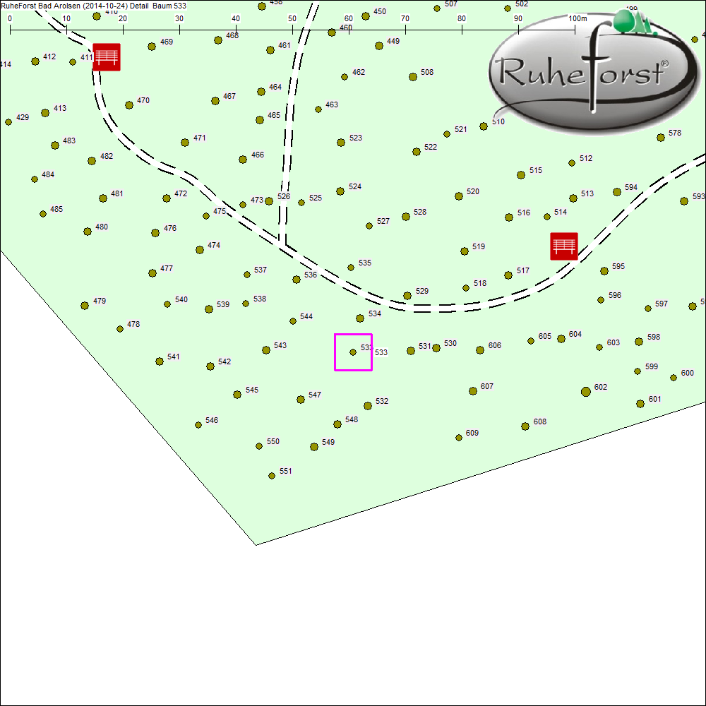 Detailkarte zu Baum 533