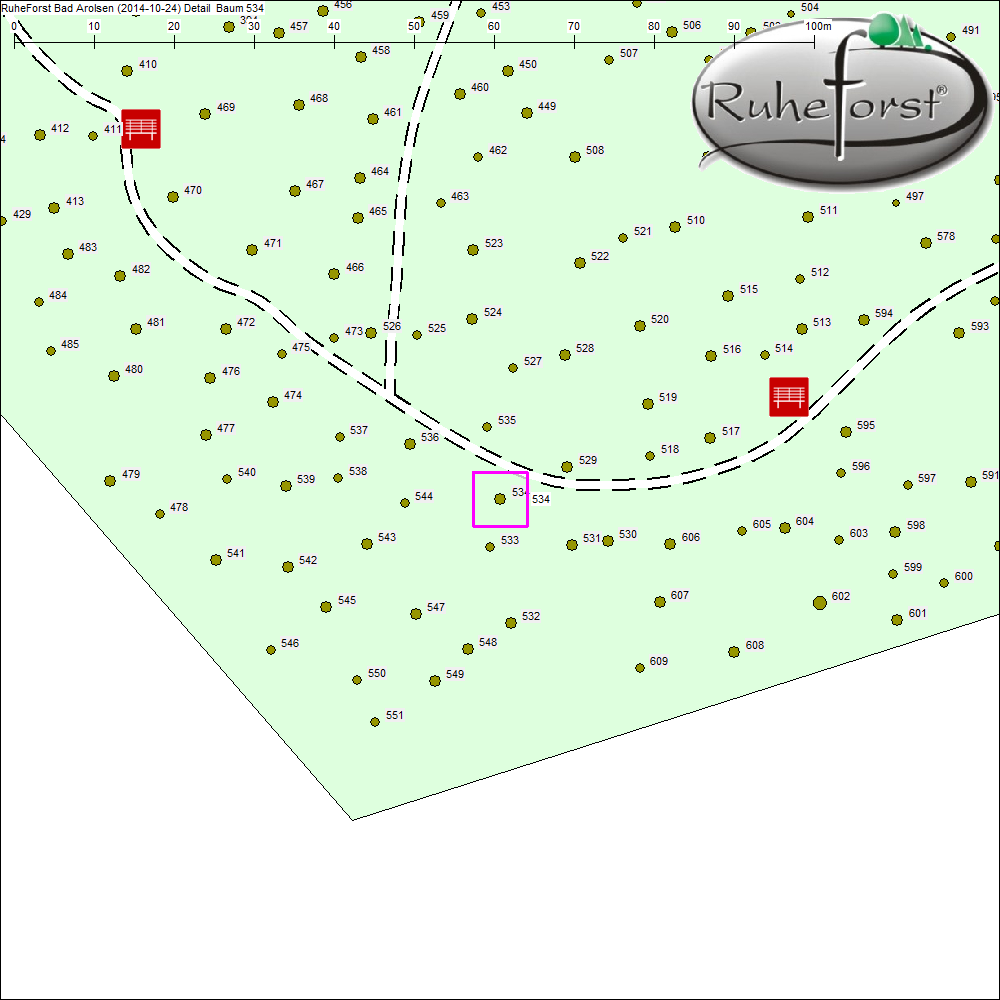 Detailkarte zu Baum 534